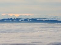 DSC0033  Berner Alpen, davor das Schweizer Jura