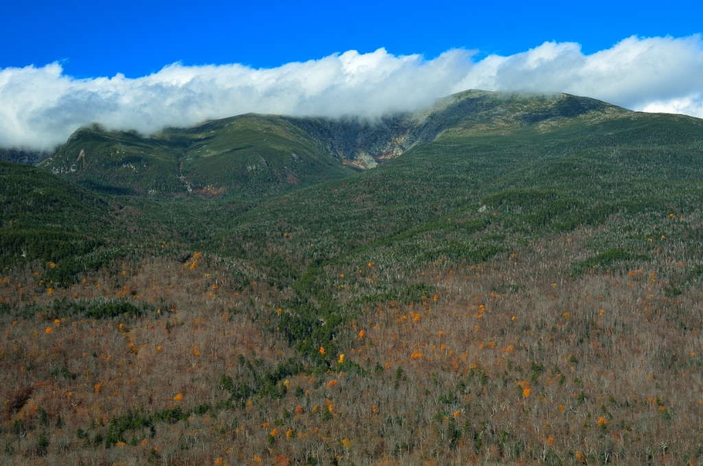  DSC0469