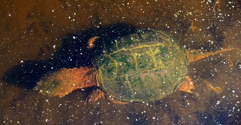  DSC3315