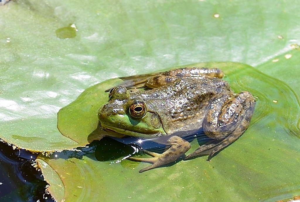  DSC4342